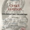 Celebrating Valentine CHCZ