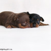 both_2weeks_002