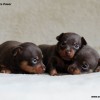 All1
