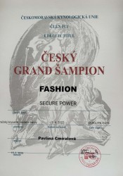 Fashion GCHCZ